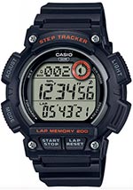 Мужские наручные часы Casio General WS-2100H-1A